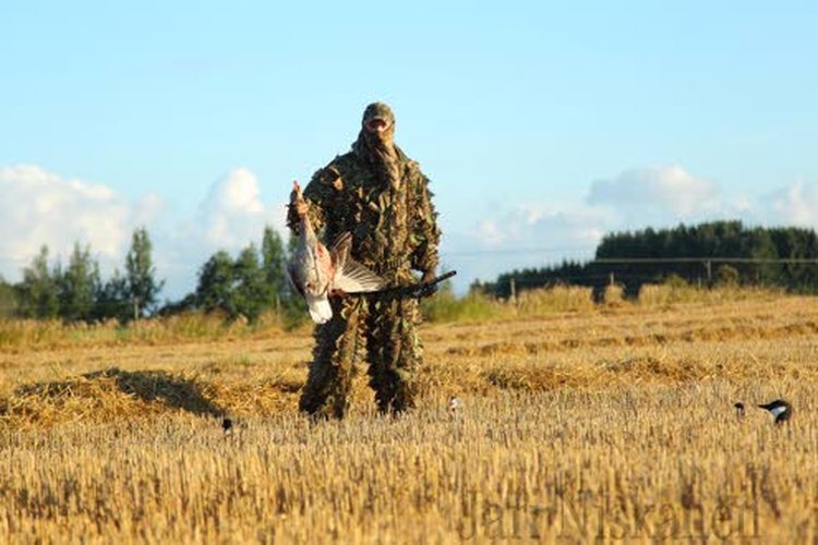 Hanhia Anssi Vainio käy metsästämässä Etelä-Ruotsissa.