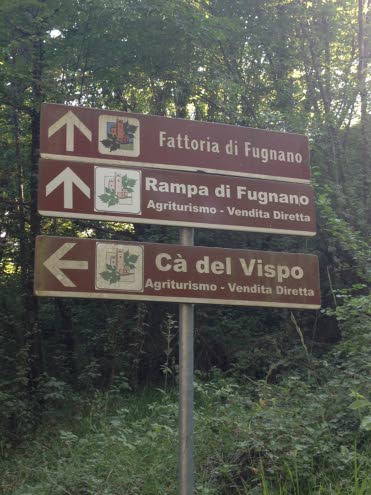 Tien päässä odottaa vielä yksi jyrkkä mutkainen nousu Fattoria di Fugnanon tilalle.