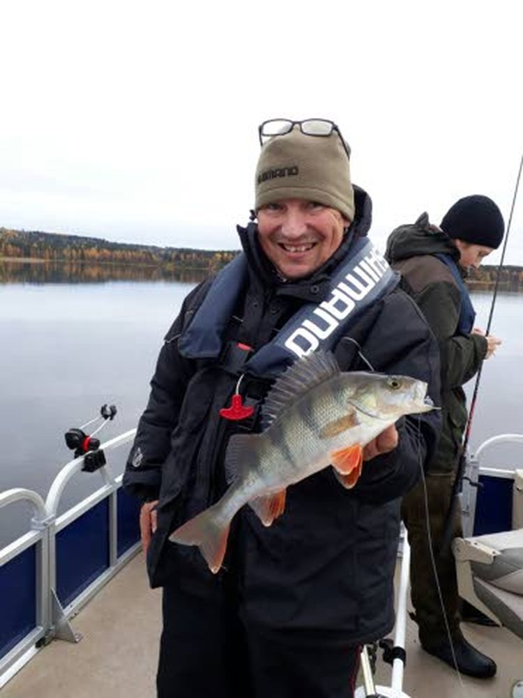 Ahvenen kalastusopas Juha Happonen nostaa suorastaan jumalaiseksi ruokakalaksi. – Ahvenen pikantti maku ei kaipaa edes suolaa, kun sen paistaa pannulla voissa heti perattua, hän sanoo.