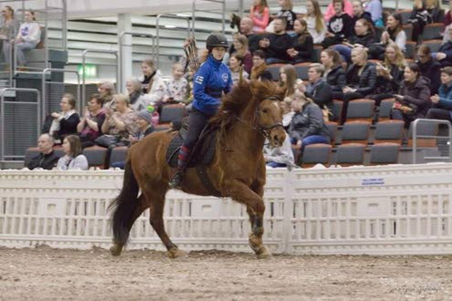 Susannan Helinä-tytär ratsastaa kuvassa Tommilla Go Expo Horse 2020 messuilla suomenratsujen esityksessä.