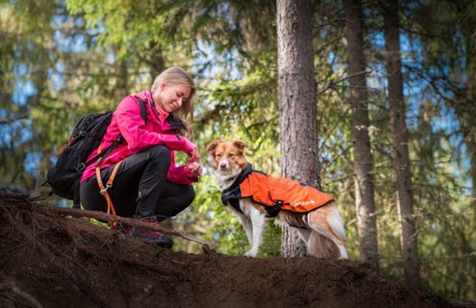 Suomalaisen Luhdan kehittämässä Icepeak Pet koiran vaate- ja aktivointituotesarjassa käytetään pääsääntöisesti samoja teknisiä materiaaleja kuin yrityksen valmistamissa ihmisten urheiluvaatteissa. Icepeak Pet-koiratuotesarjaan kehitettävät uudet tuotteet testataan olosuhteissa, joissa koirat niitä luontaisesti käyttävät.